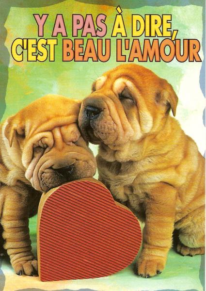 L'AMITIER POUR MOI  C'EST CA